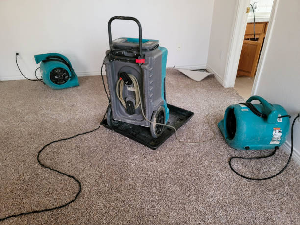 Best Flooded house restoration  in Parker City, IN