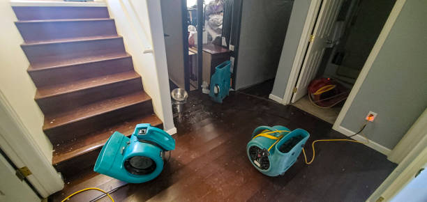 Best Flood restoration services  in Parker City, IN