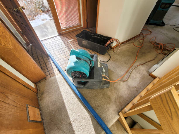 Best Water damage contractors near me  in Parker City, IN