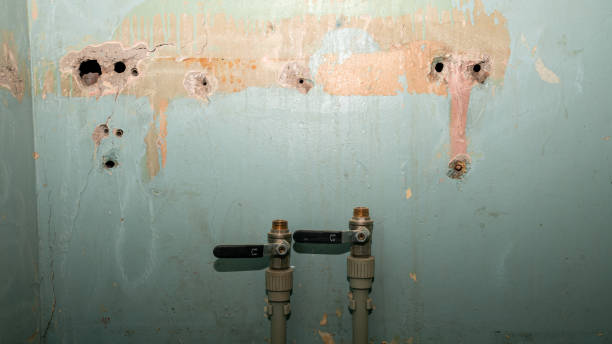 Best Water damage cleanup near me  in Parker City, IN