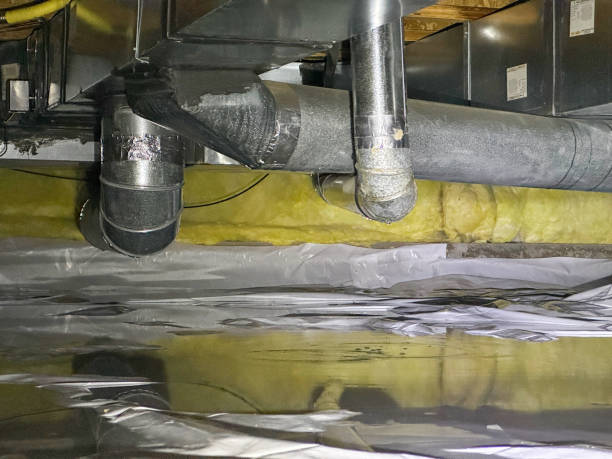 Best Sewage cleanup and water damage restoration  in Parker City, IN