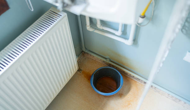 Best Water damage cleanup near me  in Parker City, IN