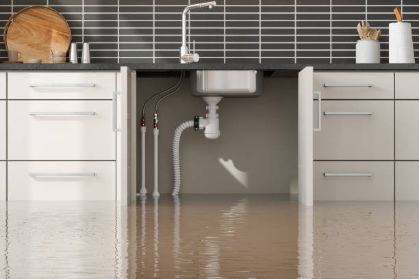 Best Water damage restoration near me  in Parker City, IN