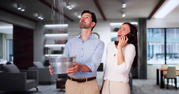 Best Flooded house restoration  in Parker City, IN